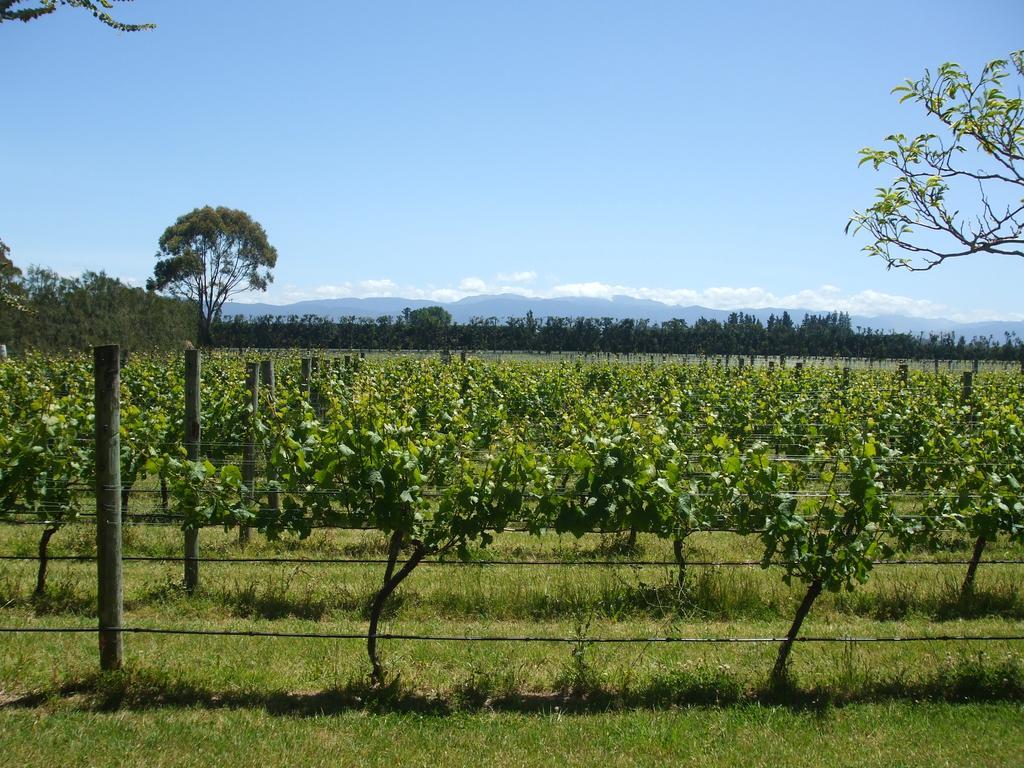 Villa In The Vines มาร์ตินเบรอ ภายนอก รูปภาพ